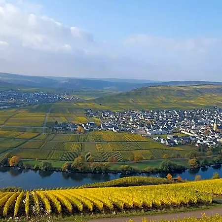 Weinhaus Kurtrierer Hof * Leiwen