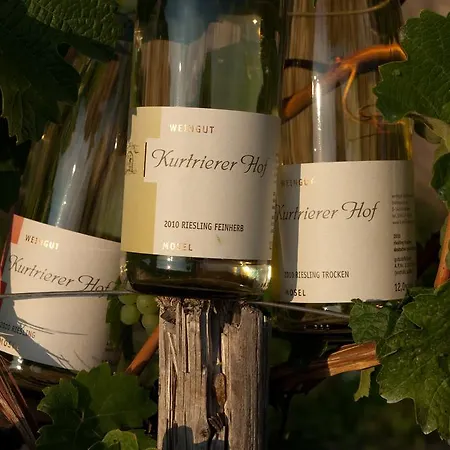 Weinhaus Kurtrierer Hof *