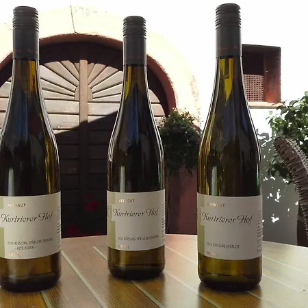 بيت ريفي Weinhaus Kurtrierer Hof *