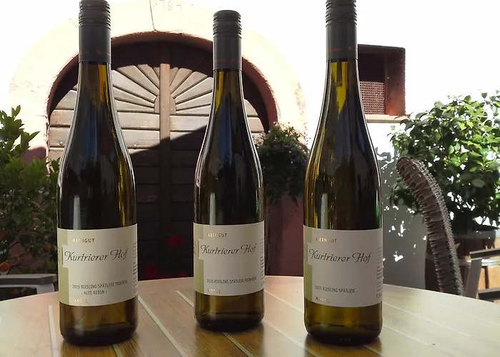 宾馆 Weinhaus Kurtrierer Hof *